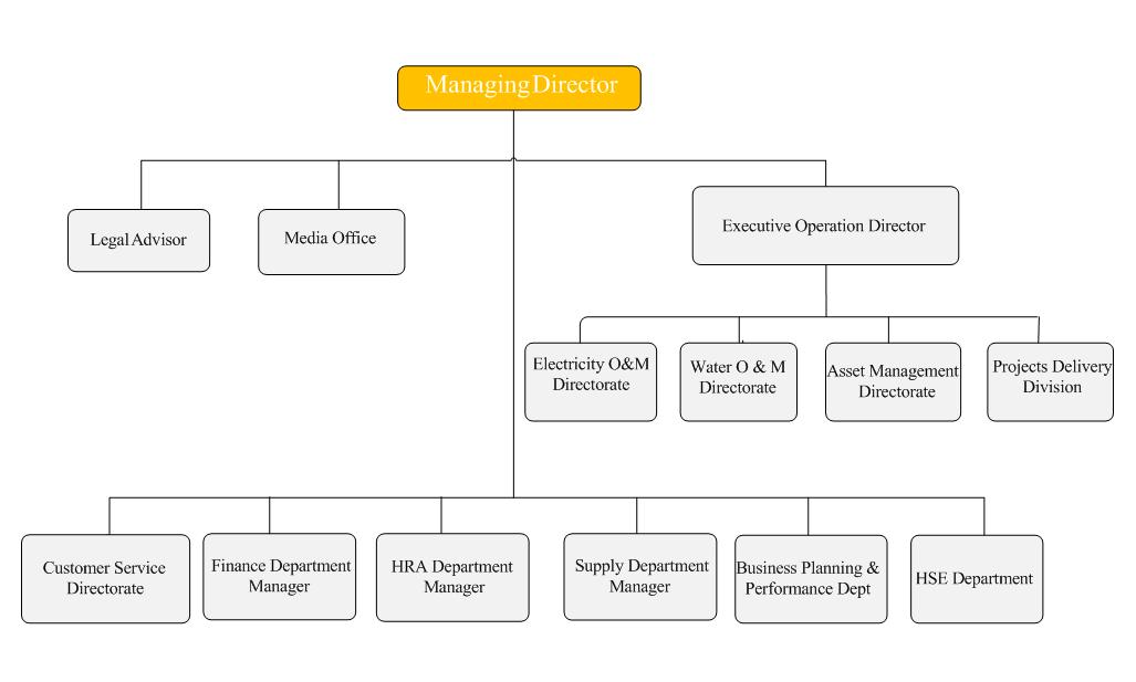 Cosmetic Company Organizational Chart